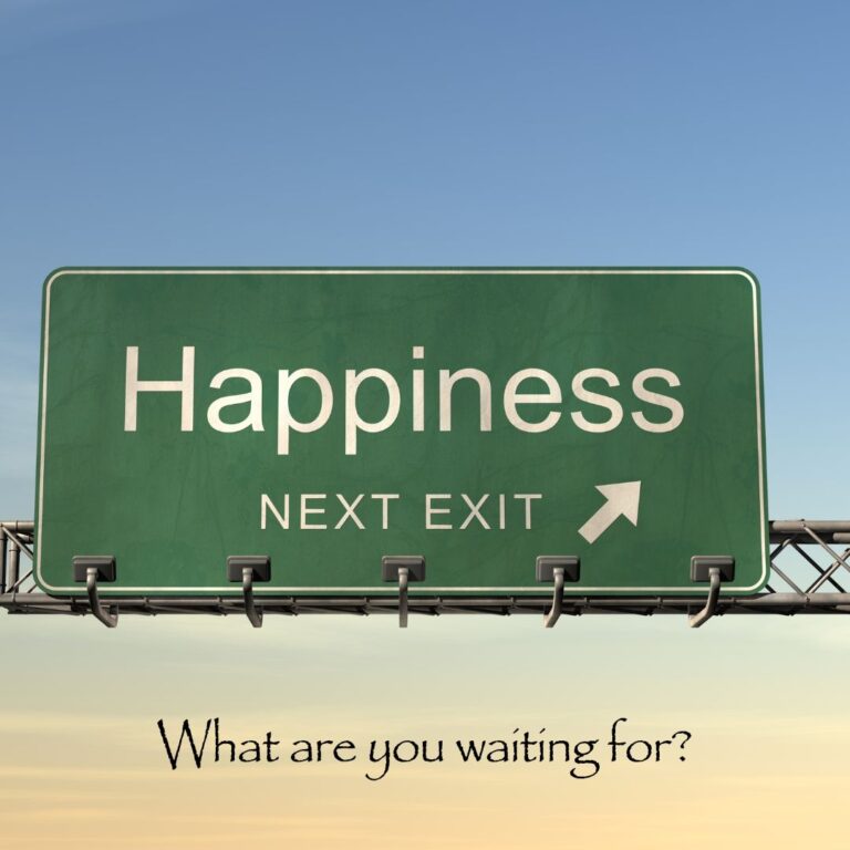 The image shows a road sign against a blue sky that says "Happiness Next Exit".